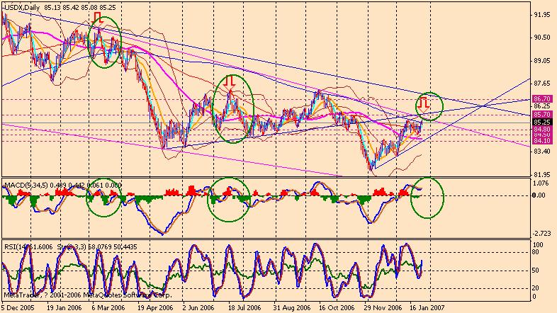 070129 usdx d-2.gif